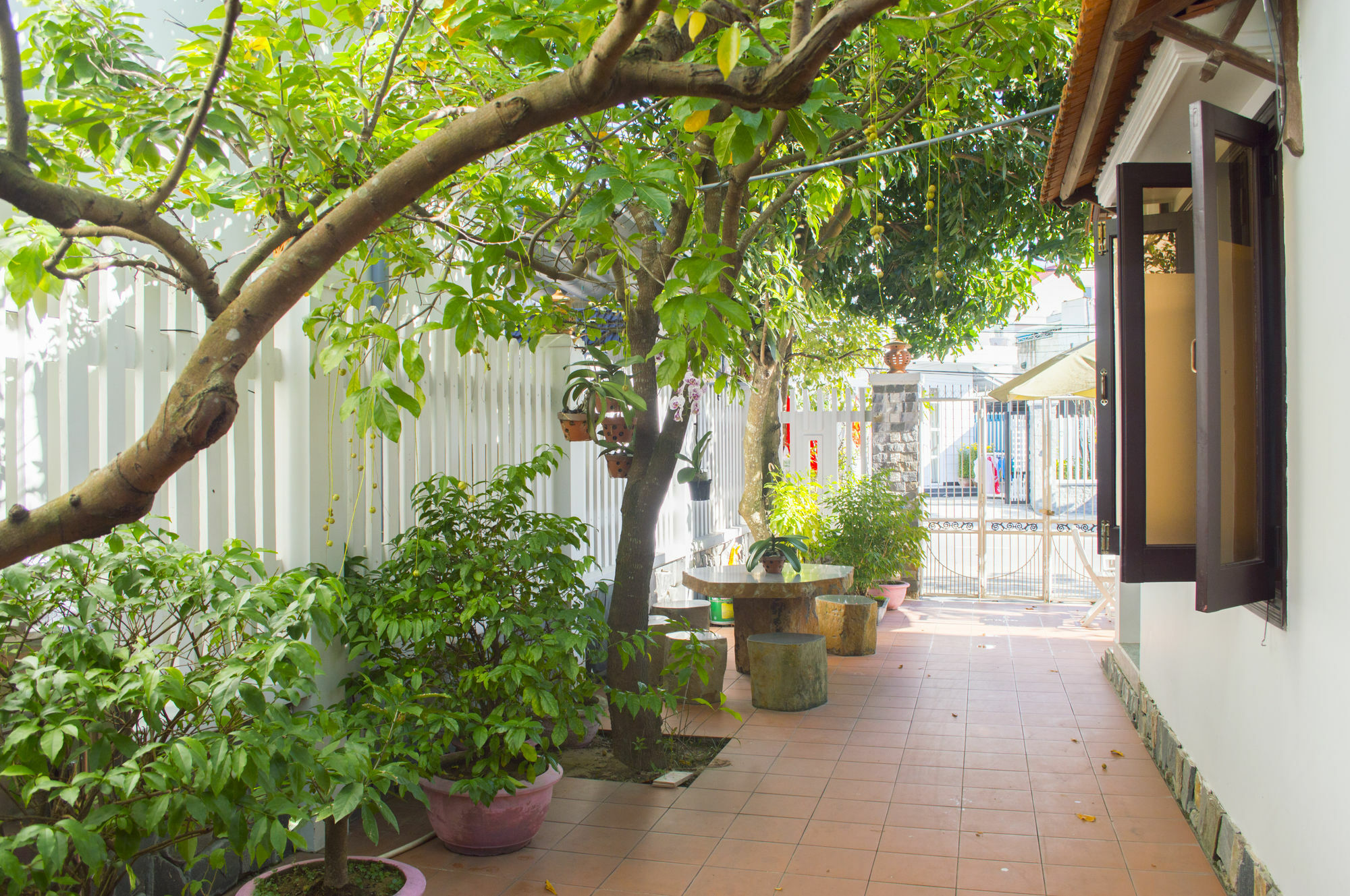 Halo Homestay Hoi An Eksteriør billede
