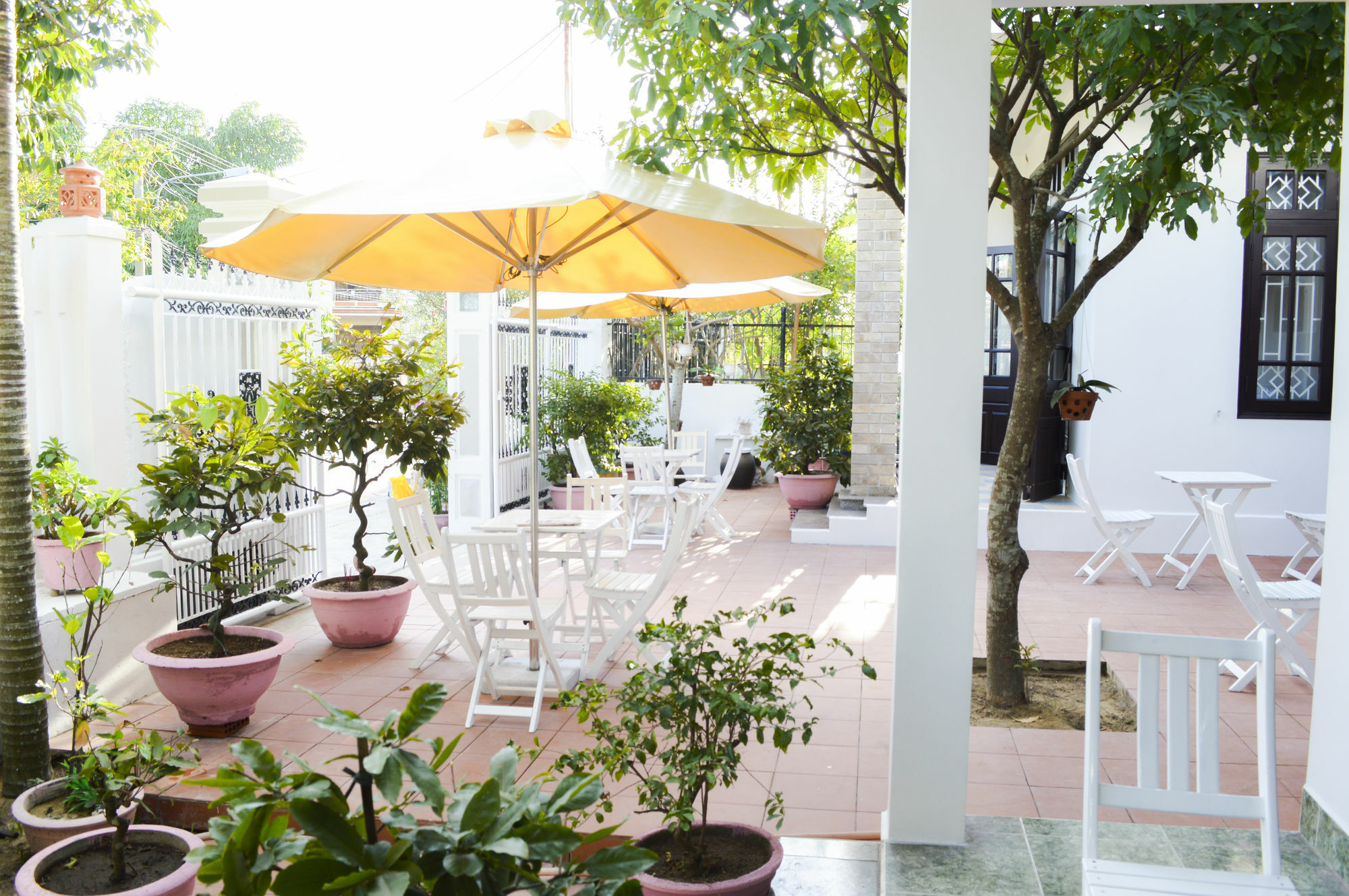 Halo Homestay Hoi An Eksteriør billede