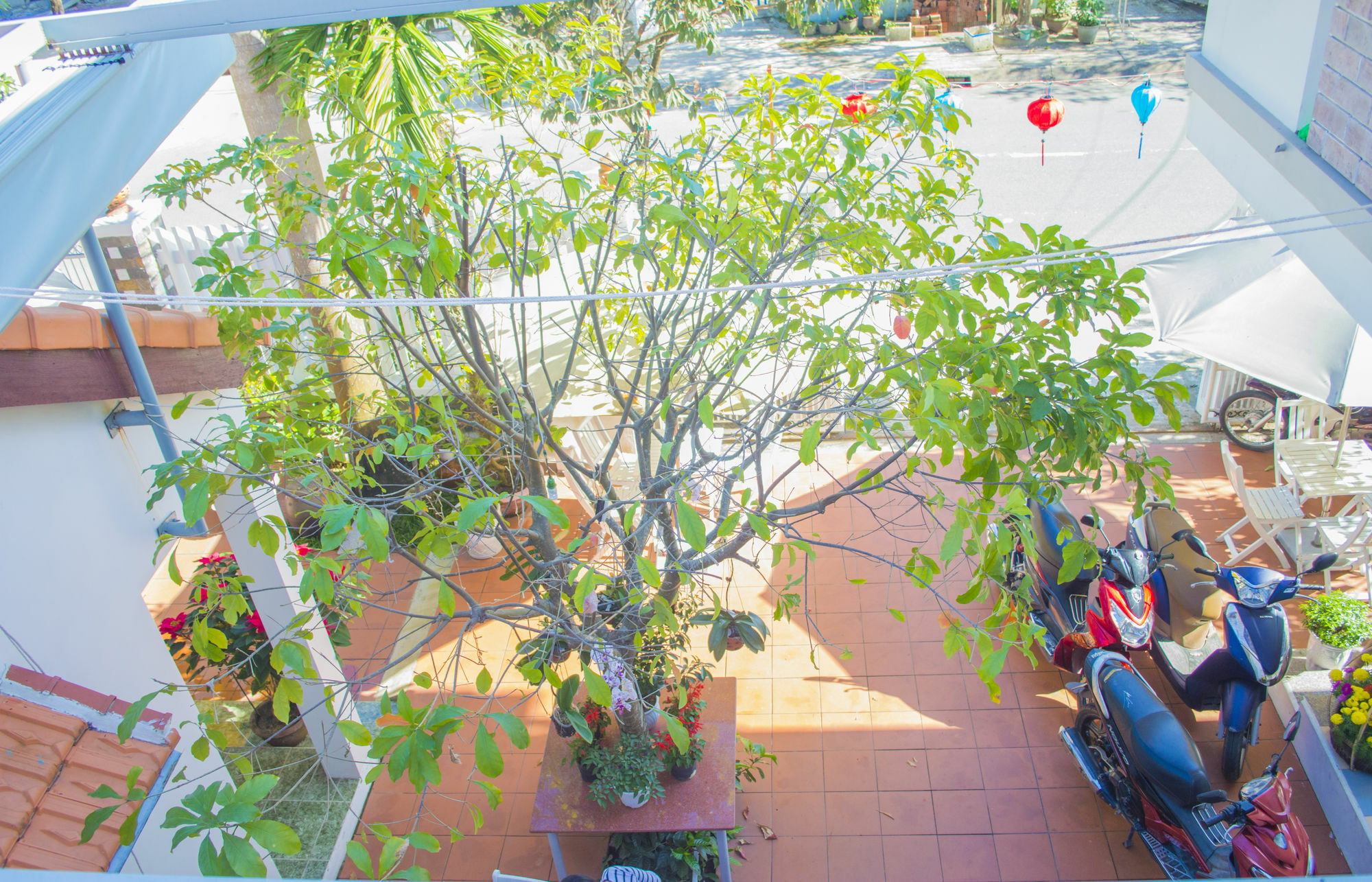 Halo Homestay Hoi An Eksteriør billede
